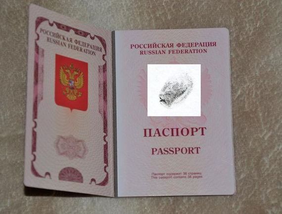 прописка в Звенигороде